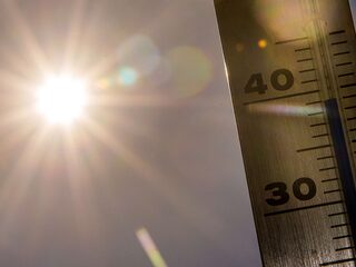 Zo functioneert ons lichaam bij warmte
