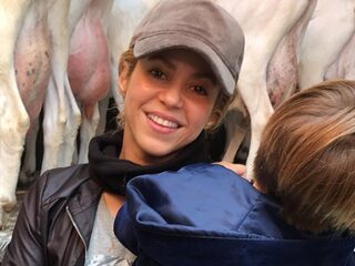 Shakira heeft Toms geit gemolken