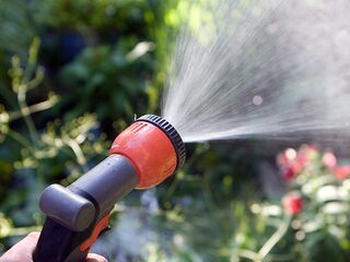 Zo ga je om met een droge tuin