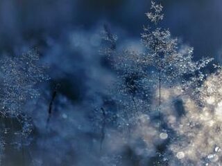 Het kerstverhaal door Peter van Bruggen