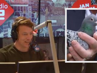 Duif van 1,2 miljoen wordt bewaakt door bodyguards