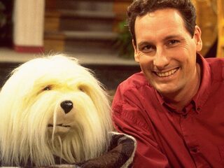 Gert Verhulst houdt Samson niet langer aan lijntje