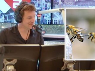 De Nationale Bijentelling krijgt er nog een paar dagen bij