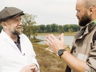 Waarom vliegt een vlinder alsof hij dronken is?