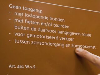 Waarom mag je 's nachts niet in het bos komen?