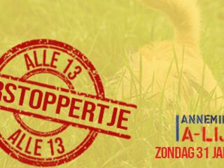 A-Lijst: Alle 13 Verstoppertje