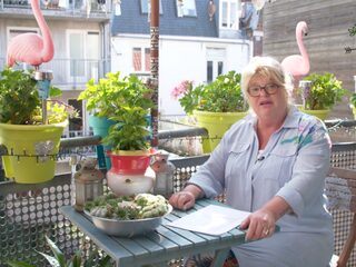 Laat Linda jouw liefdesbrief voorlezen