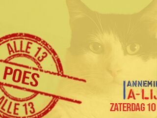 A-Lijst: Alle 13 'Poes'