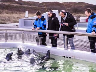 Frank en Wouter gaan langs de zeehondenopvang