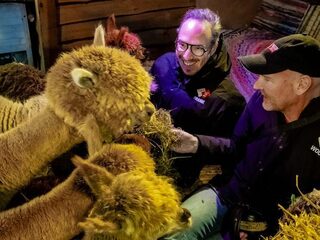 Frank en Wout verrassen Edwin Evers met Top 2000 Thuispakket en bezoeken alpaca's