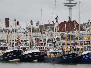 Het geheim van Urk? 'De Urker is gewoon geen zeurpiet'