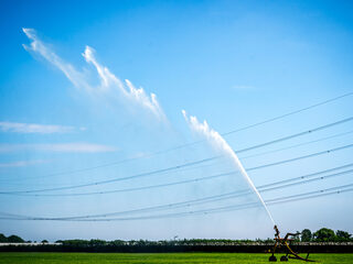 Begint extreme droogte in Nederland ieder jaar eerder?