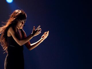 De man die honderd songfestivalliedjes schreef