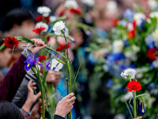 Dodenherdenking op NPO Radio 2