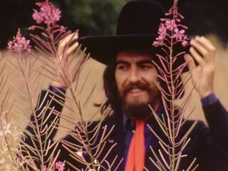 George Harrison zag in Eric Claptons tuin de zon