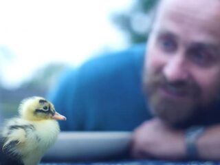 Alwyn broedde een ei uit op zijn borst