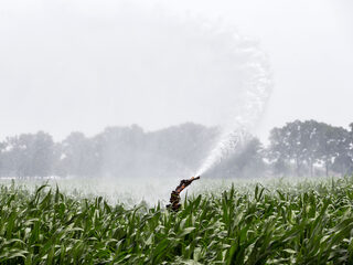 Waarom sproeien boeren hun land op het heetst van de dag?