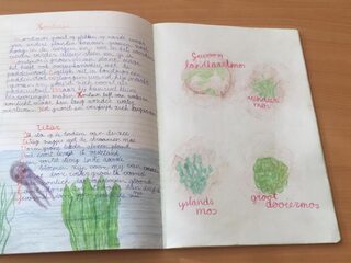 Juf Laura zoekt gestolen schriften met kunstwerkjes van leerlingen groep 5