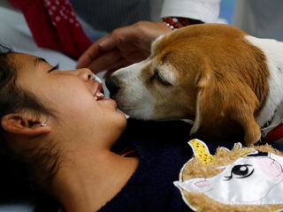 Dierenbezoekuur in het ziekenhuis