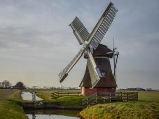 Het dialect leeft enorm onder jongeren: 'Het wordt een soort straattaal'