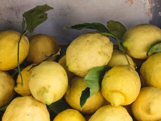 De lekkerste Limoncello ter wereld komt uit Drenthe