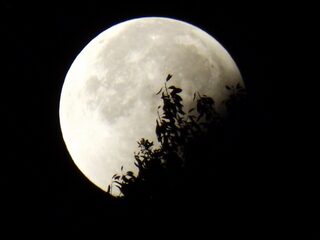 Jouw Intergalactische Reismuziek