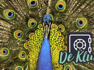 De Kluis: Bluetones - 'Slight Returns'