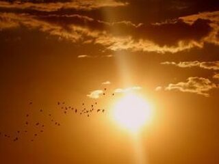 Waarom lijkt de zon soms groter?