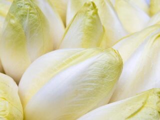 Agent John stuit op bijzondere vondst dankzij melding van hennepplantage