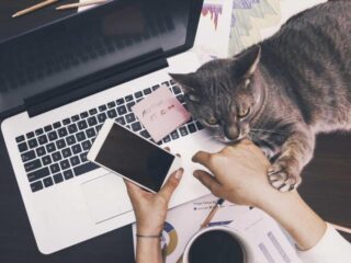 Thuiswerklijst op Spotify