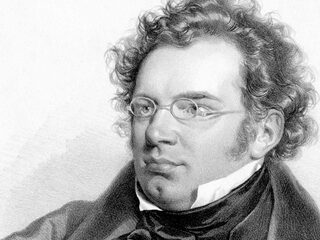 Februari Festival in het teken van Franz Schubert - wie was hij?
