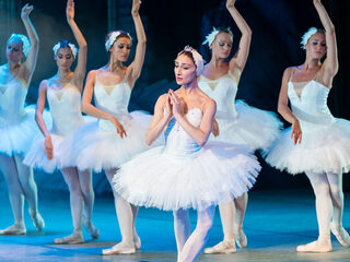 Topstukken: het Zwanenmeer van Tsjaikovski