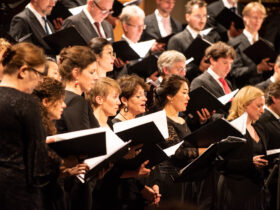Winterse dromen met Tsjaikovski en Sibelius