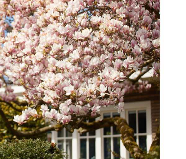 Bekijk de YouTube-playlist