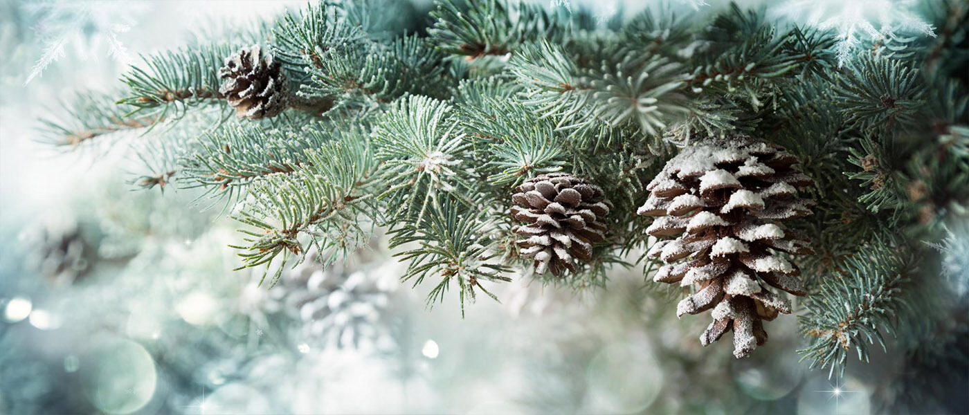 Kerst vier je op NPO Radio 4