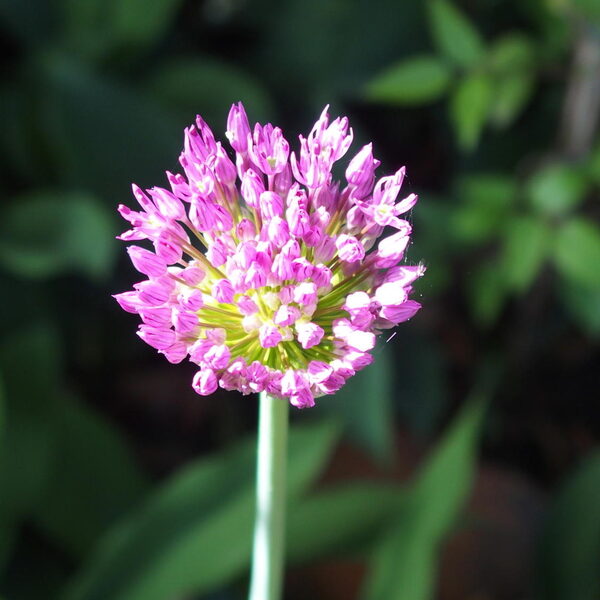 Tips voor een muzikale lente!