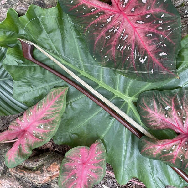 Hawar Tawfiq – Bosch Requiem 2021