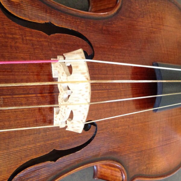 Wat zijn darmsnaren?