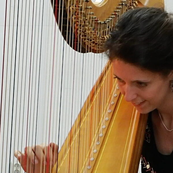 Een Harp Onder De Riem