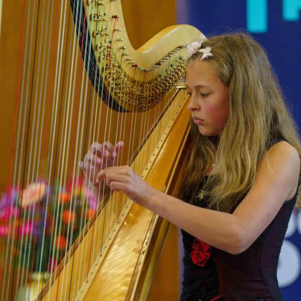 Steun de actie 'Elk kind een muziekles'