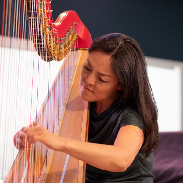 Harpconcert van Nico Hamburger met lavinia Meijer