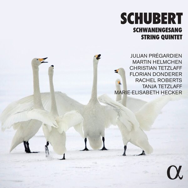 Schubert - Schwanengesang & String Quintet