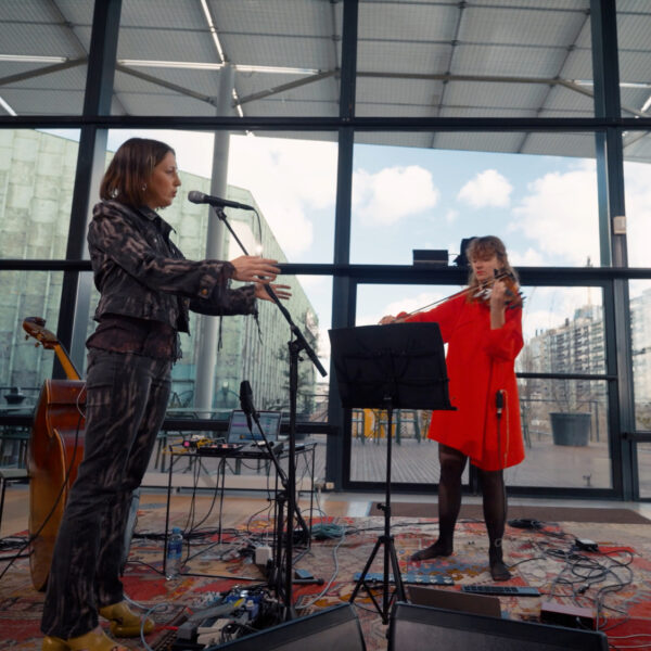 Honingbeer en Show Pony: dromerige viool-ambient