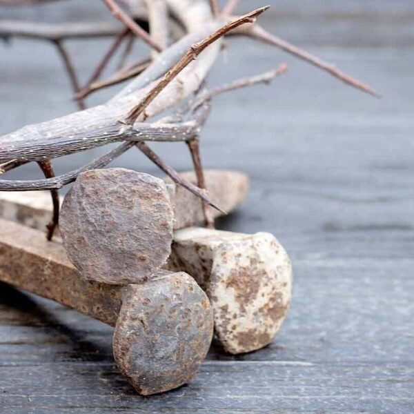 Matthäus-Passion van Johann Heinrich Rolle