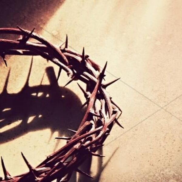 Bachs Matthäus-Passion door het Concertgebouworkest o.l.v. John Butt