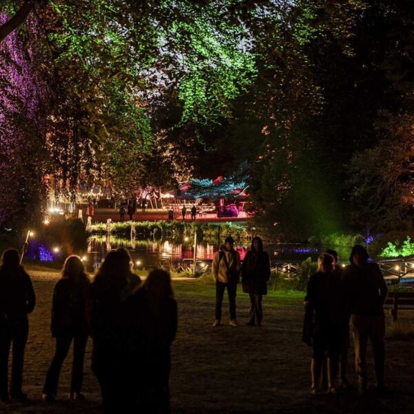 Hoogtepunten van het Oranjewoud Festival