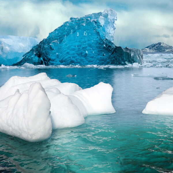 Uitstervende soorten in nieuw stuk John Luther Adams