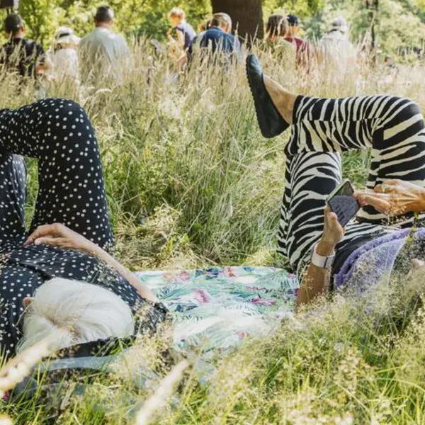 Wonderfeel 2024: Nederlandse Bachvereniging