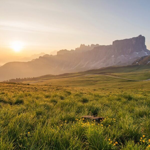 Sprankelende dansante Weense septetten