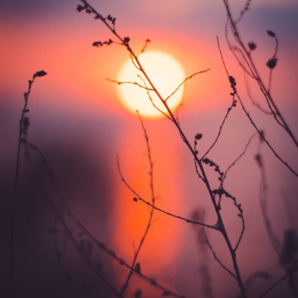 François Rebattu: Chant du soir
